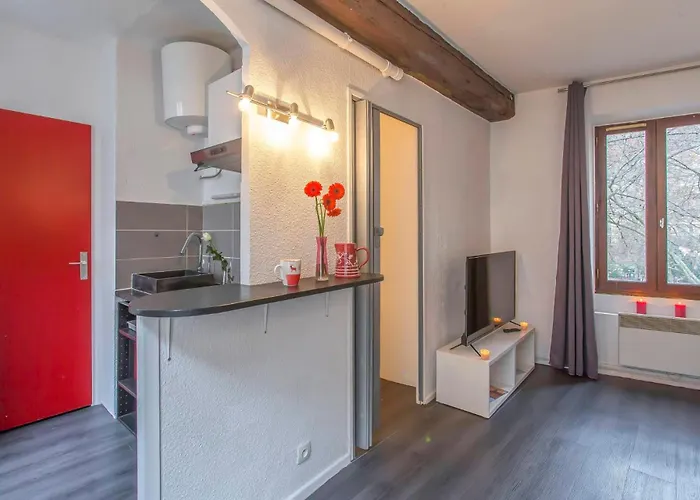 Lejlighed A 4 Mn De Grenette Hypercentre Grenoble