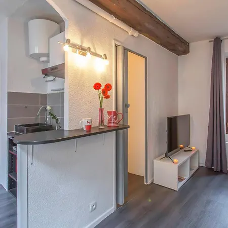 Apartament A 4 Mn De Grenette Hypercentre Grenoble